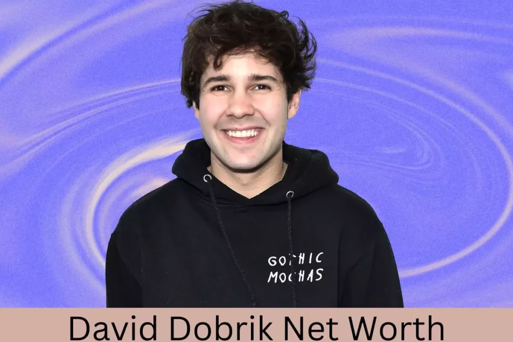 David Dobrik Net Worth