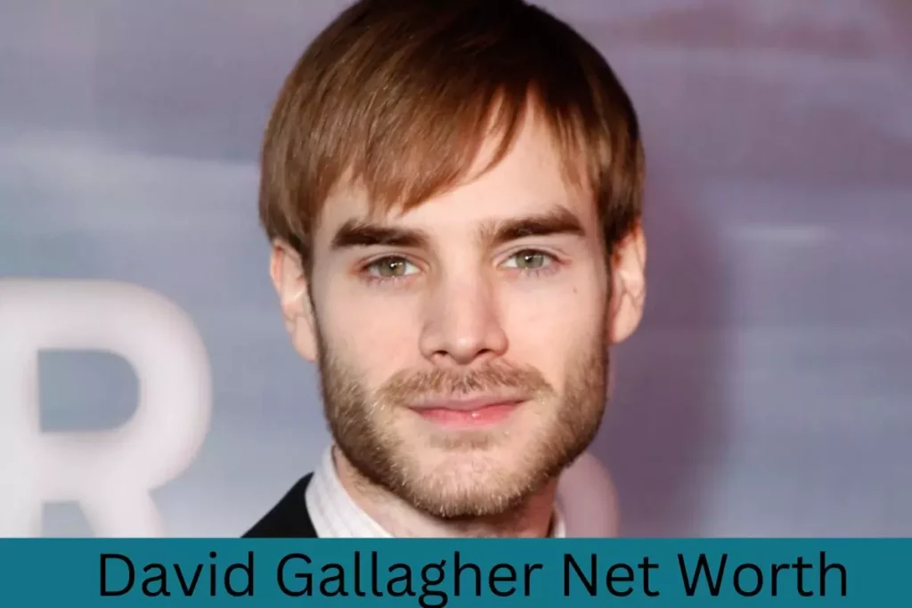 David Gallagher Net Worth