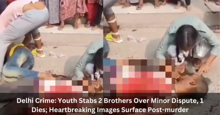 Delhi Crime: Youth Stabs 2 Brothers Over Minor Dispute, 1 Dies