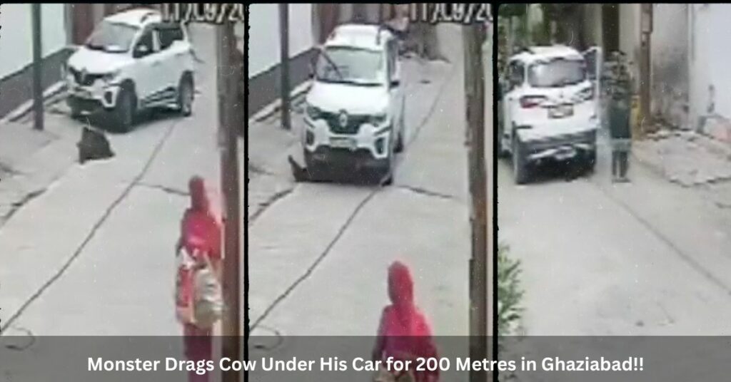 Monster Drags Cow Under His Car for 200 Metres in Ghaziabad