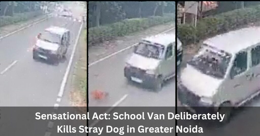 Sensational Act School Van Deliberately Kills Stray Dog in Greater Noida