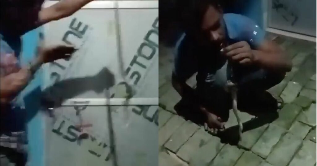 Viral Video: Drunk Man Mishandles Snake Pretending to Be Lord Shiva, Gets Bitten and Dies